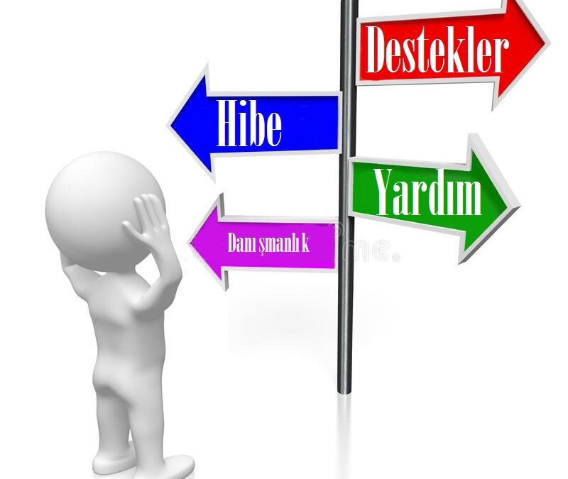 Devlet destek ve hibe